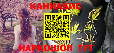 молекула духа Шелехов