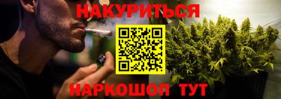 молекула духа Шелехов