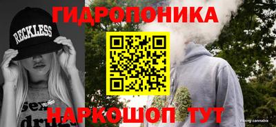 ешки Чапаевск