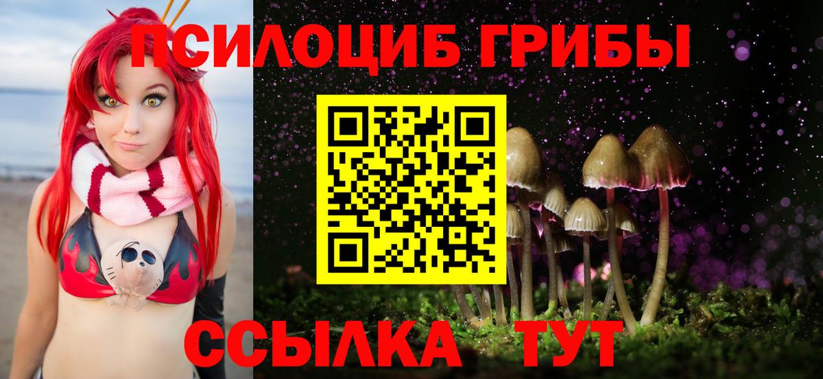 Галлюциногенные грибы Cubensis Ростов-на-Дону