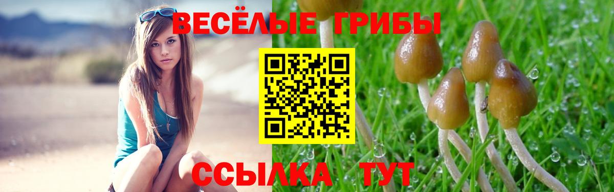 наркошоп  Галлюциногенные грибы прущие грибы  Галлюциногенные грибы ЛСД  Вход с VPN  Ростов-на-Дону 